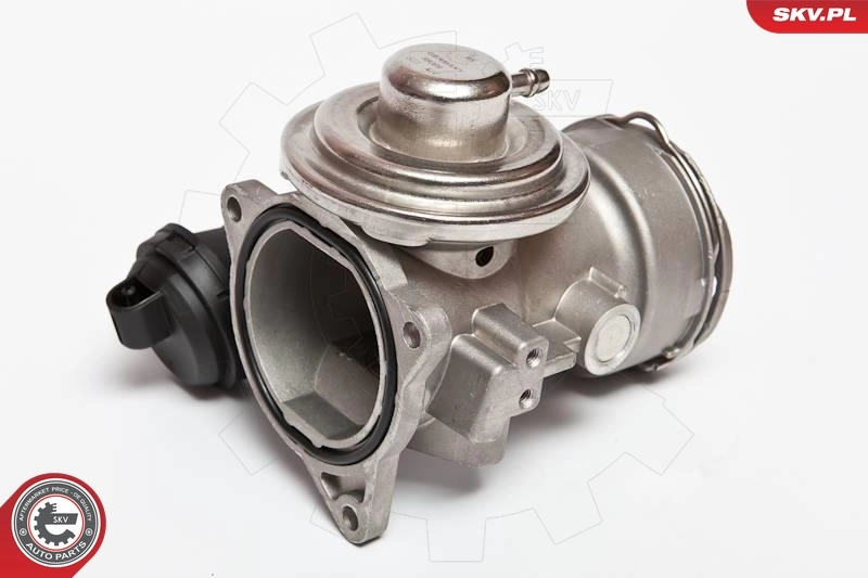 EGR Valve